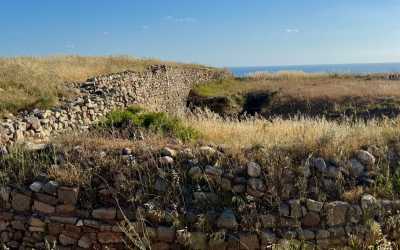Wycieczka na plażę Skała Afrodyty z karmieniem osiołków z Pafos