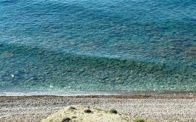 Wycieczka na plażę Skała Afrodyty z karmieniem osiołków z Pafos