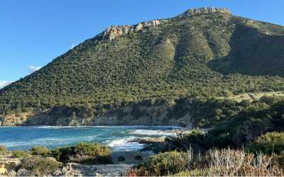 Marathon [41] Jeep Safari - Narodowy Park Akamas z Cypru Północnego